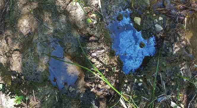 Bayburt&rsquo;taki petrol sızıntılarını incelediler, petrol&uuml;n y&uuml;zeye &ccedil;ıkarılması i&ccedil;in &ccedil;alışma başlatılmasını istediler
