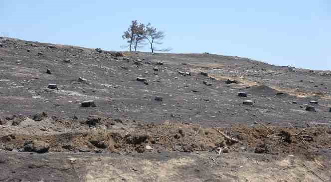 Yangından etkilenen k&ouml;yl&uuml;ler yaşadıklarını anlattı
