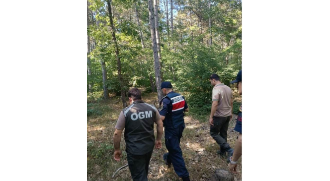 Ormanlara sıkı koruma
