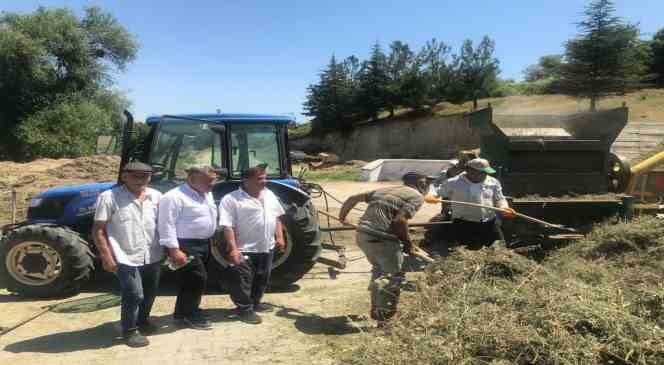 Denizli kekiğinde hasat sürüyor