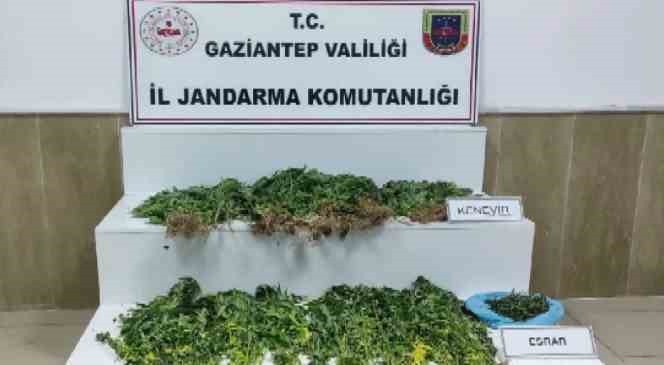 Jandarmadan uyuşturucu ve kaçakçılık operasyonu: 6 şahıs tutuklandı