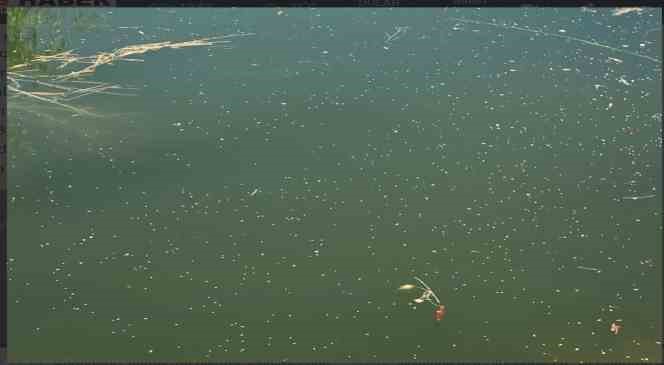 Sivrisineklere drone ile havadan çözüm