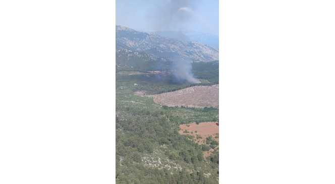 Burdur’da orman yangını
