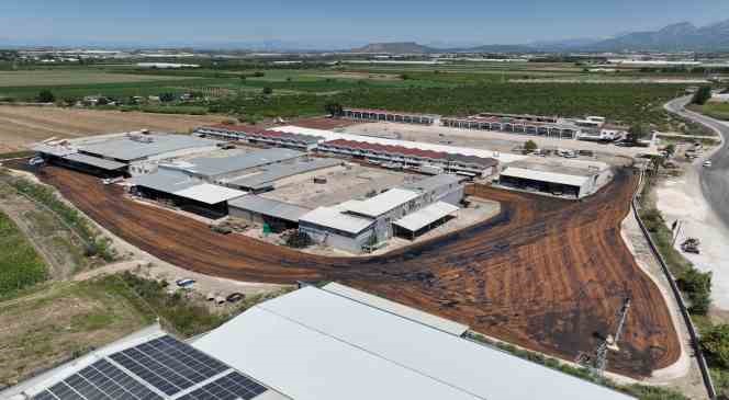 Serik &Ccedil;andır Toptancı Hali, baştan sona yenilendi
