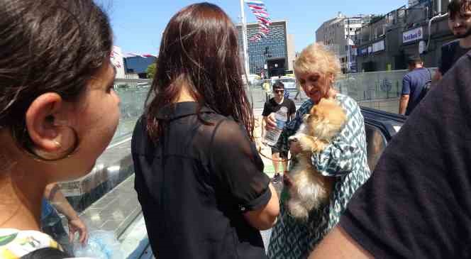 Taksim’de köpek yürüyen merdivene sıkıştı