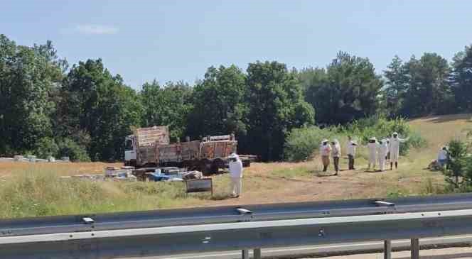 Ekipler 4 ölümlü kazaya arıcı kıyafeti giyerek müdahale etti