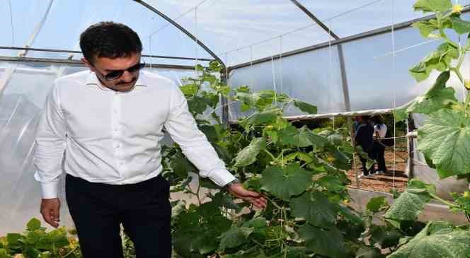 &Ccedil;ift&ccedil;ilerin ekonomik kazan&ccedil; kapısı oldu: Ata tohumlarından organik tarım yapıyorlar
