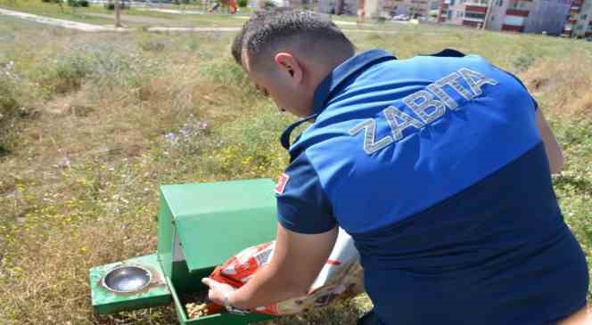 Sokak hayvanları i&ccedil;in su ve yiyecek bırakıldı
