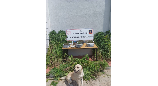 Edirne’de uyuşturucu ve kaçakçılık operasyonu: 6 gözaltı