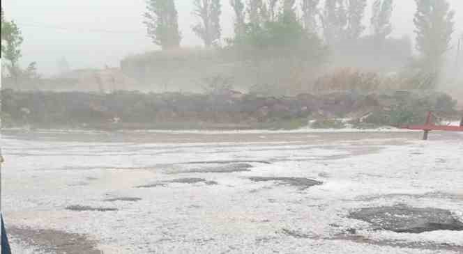 Çıldır’da dolu yağışı ekili alanlara zarar verdi