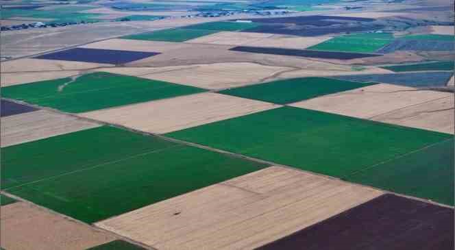 Bingöl’deki renk cümbüşü dron ile görüntülendi