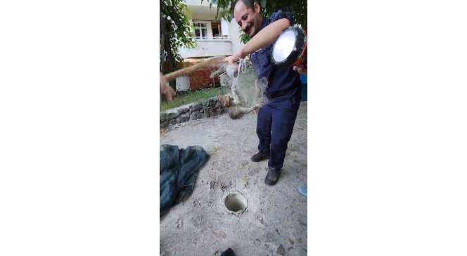 Gümüşhane’de tırıvırıyla kedi kurtarma operasyonu