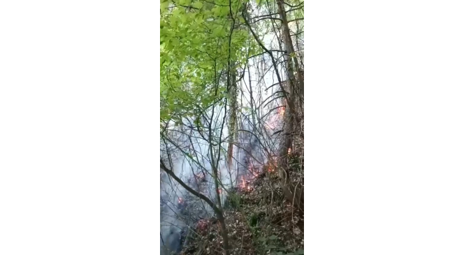 Uludağ’ın eteklerinde orman yangını