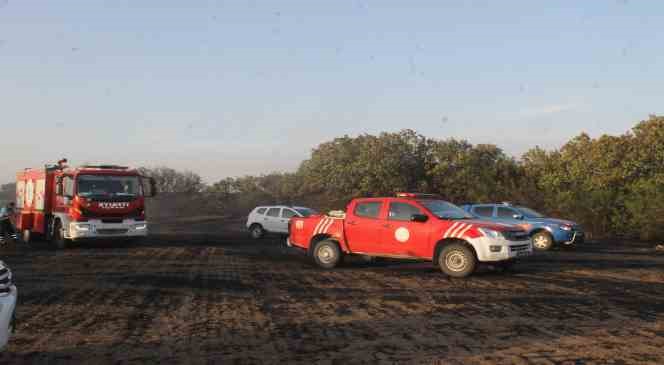 Edirne’de orman yangını söndürüldü