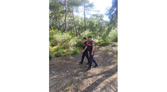 Jandarma 'yeşil vatan' nöbetinde