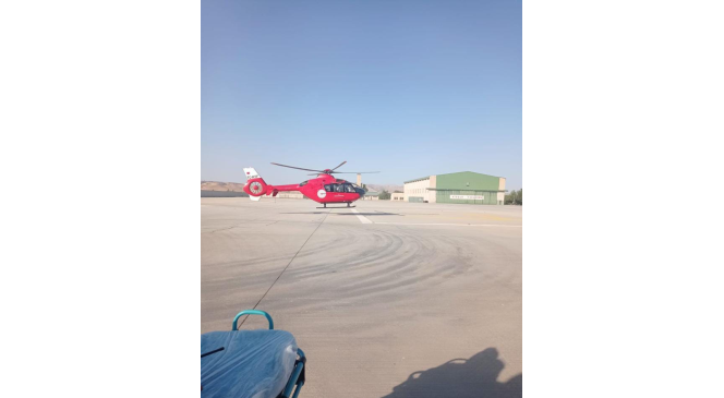 Siirt’te akrebin soktuğu çoban ambulans helikopterle hastaneye kaldırıldı