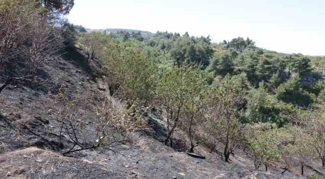 Kahramanmaraş’ta yanan 15 hektar alan dron ile görüntülendi