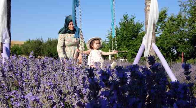 Bozkırın ortasında lavanta bah&ccedil;esi oluşturdu, ziyaret&ccedil;i akınına uğruyor
