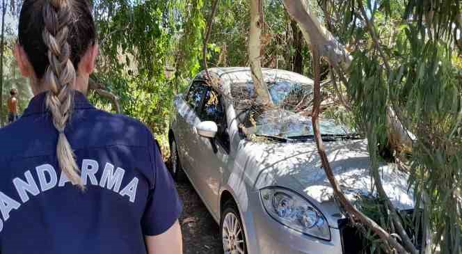 Azmak keyfi pahalıya patladı
