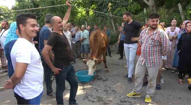 Yalova&rsquo;da susuz kalan k&ouml;yl&uuml; yol kapattı, pet şişeyle ineklerine su i&ccedil;irdi
