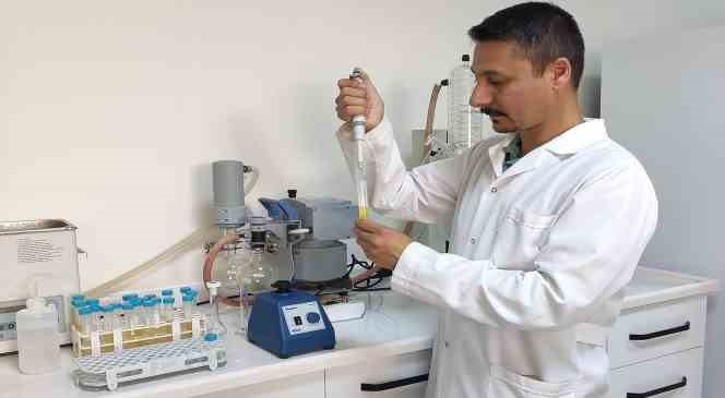 KM&Uuml;&rsquo;l&uuml; akademisyen danışmanlığında hamam b&ouml;cekleri ile m&uuml;cadele mekanizmaları araştırılacak
