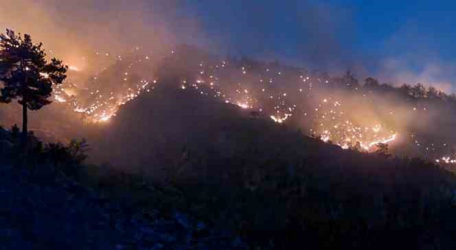 Kahramanmaraş’ta orman yangınına müdahale sürüyor