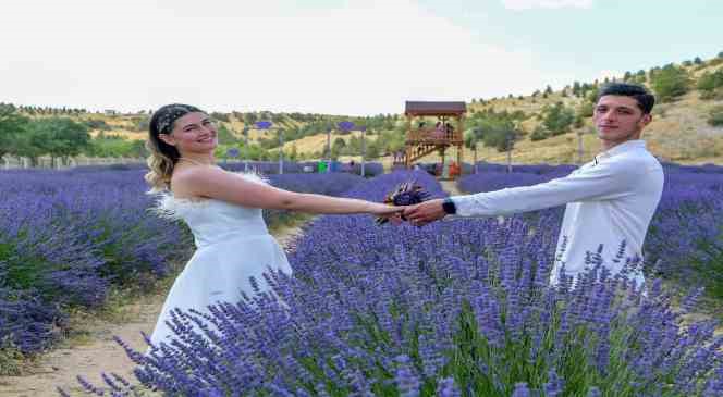 Ankara’nın en büyük lavanta bahçesi Mamak’ta