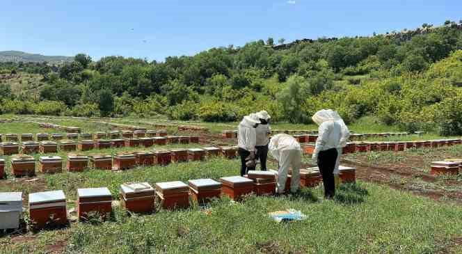 Üreticiler bal fiyatlarını belirledi