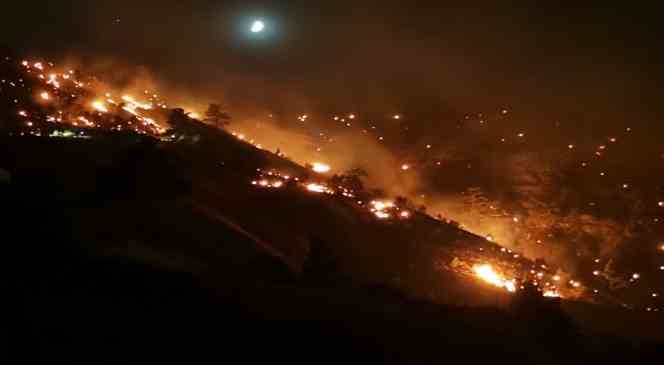 Kahramanmaraş’ta orman yangınına müdahale sürüyor