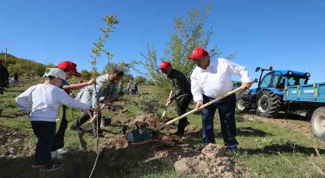 Daha Yeşil Bir Ali Dağı’na Doğru