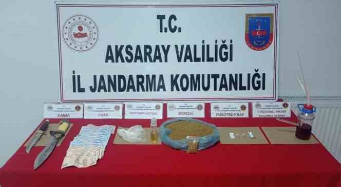 Sini ve leğende bonzai, çantada uyuşturucu hap çıktı