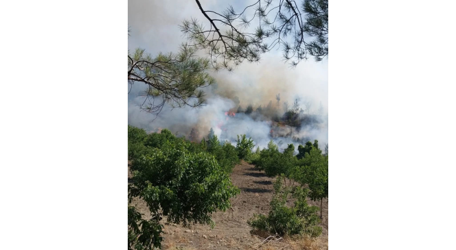Kahramanmaraş’ta orman yangınına müdahale sürüyor