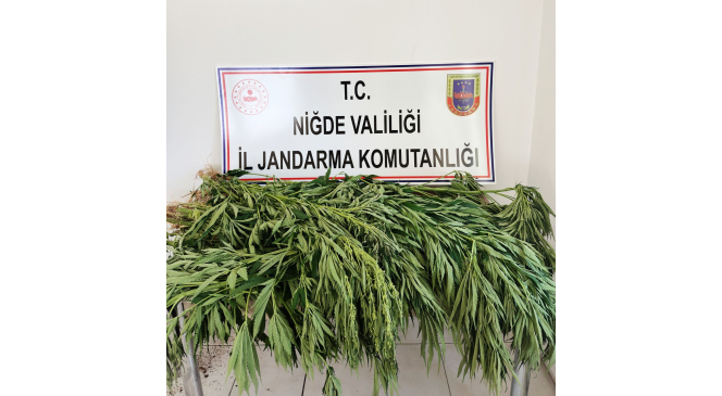 Niğde’de uyuşturucu operasyonu : 2 gözaltı