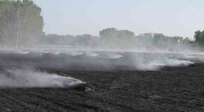 Edirne&rsquo;de tarlada &ccedil;ıkan yangında 250 saman balyası k&uuml;le d&ouml;nd&uuml;
