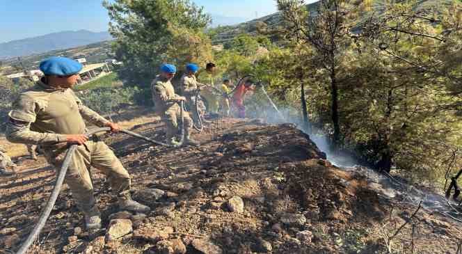 Orman yangınına jandarma desteği