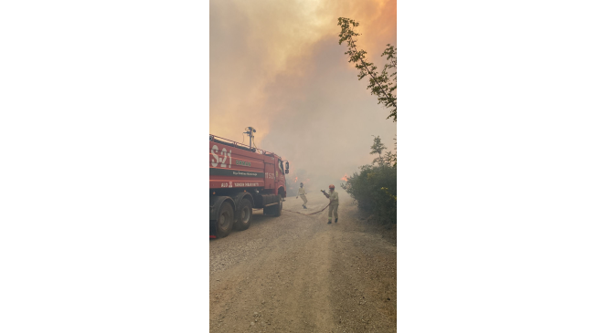 Biga&rsquo;daki orman yangını kontrol altına alındı
