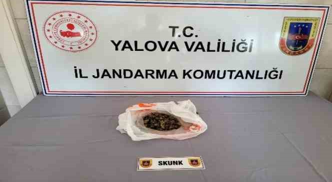 Yalova&rsquo;da uyuşturucu operasyonları: 6 g&ouml;zaltı
