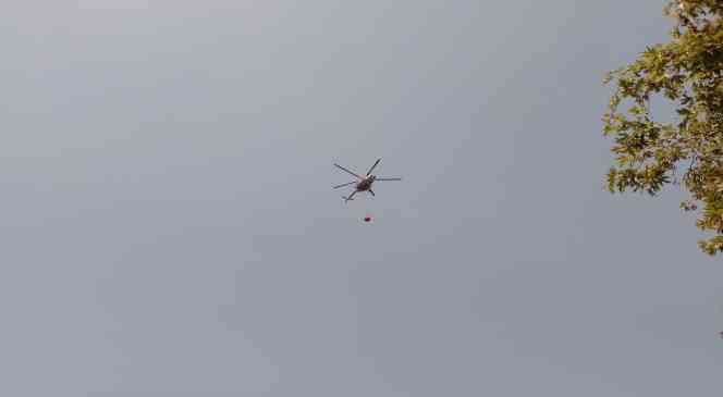 Yalova’da çıkan orman yangını kısa sürede söndürüldü