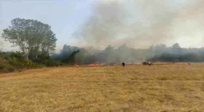 Biga’daki orman yangını kontrol altına alındı