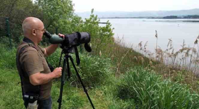 Hersek Lag&uuml;n&uuml;&rsquo;nde &uuml;reyen kuş t&uuml;r&uuml; sayısında artış
