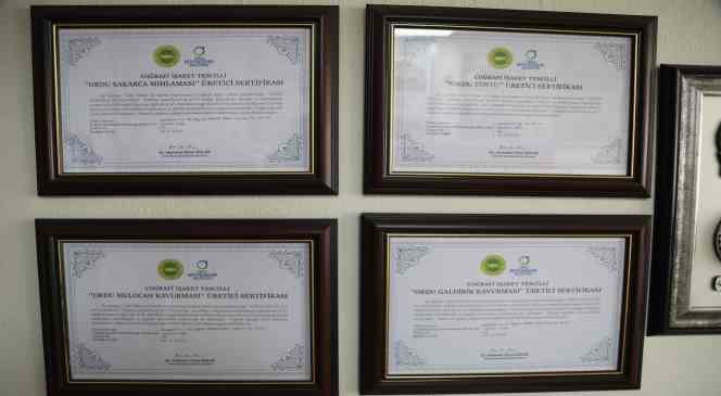 Ordu’da Coğrafi Tescilli ürünlere talep arttı