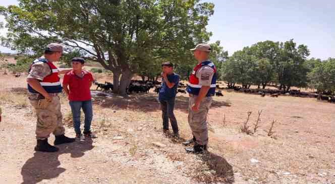 Siirt’te jandarma ekipleri boğulma vakalarına karşı uyardı