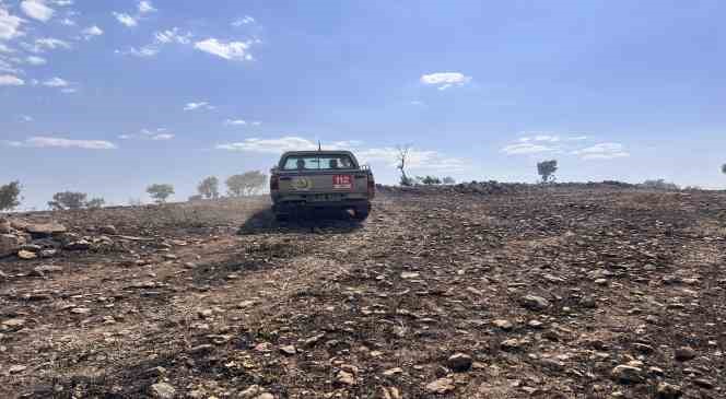 Mazıdağı&rsquo;nda yangın nedeniyle 200 d&ouml;n&uuml;ml&uuml;k ormanlık alan zarar g&ouml;rd&uuml;
