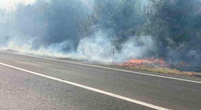Edirne&rsquo;de arazi yangını: Huzurevindeki yaşlılar tahliye edildi

