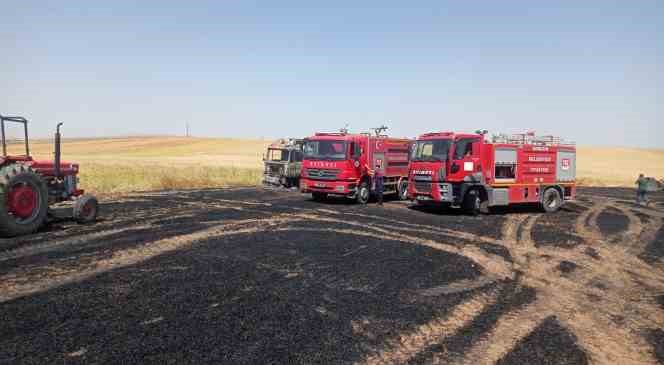 Sorgun’da 200 dekar ekili tarım arazisi küle döndü