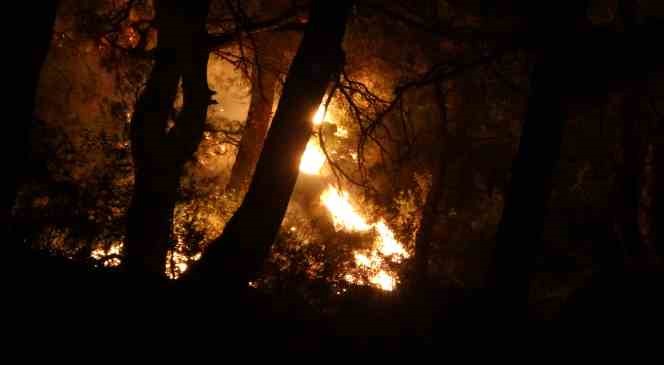 &Ccedil;anakkale&rsquo;de orman yangını
