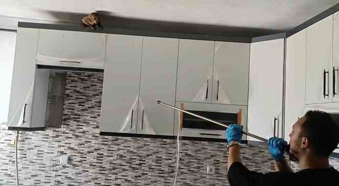 Evin mutfağındaki maymun b&ouml;yle yakalandı
