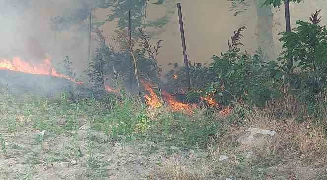 Edirne&rsquo;de &ccedil;ıkan yangınlar g&uuml;&ccedil;l&uuml;kle s&ouml;nd&uuml;r&uuml;ld&uuml;
