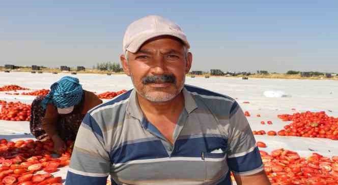 Diyarbakır’dan Avrupa’ya kuru domates ihracatı