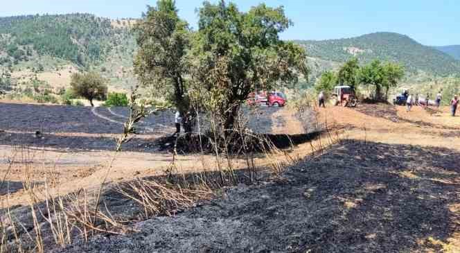 Emet’te ekili alanda çıkan yangın ormana sıçramadan söndürüldü